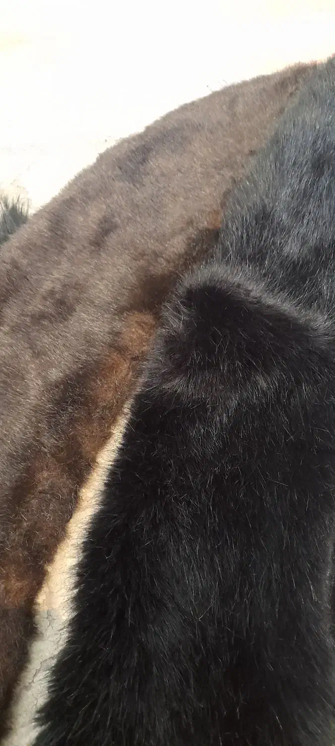 خز پالتو خارجی|لباس|رشت, جهاد|دیوار