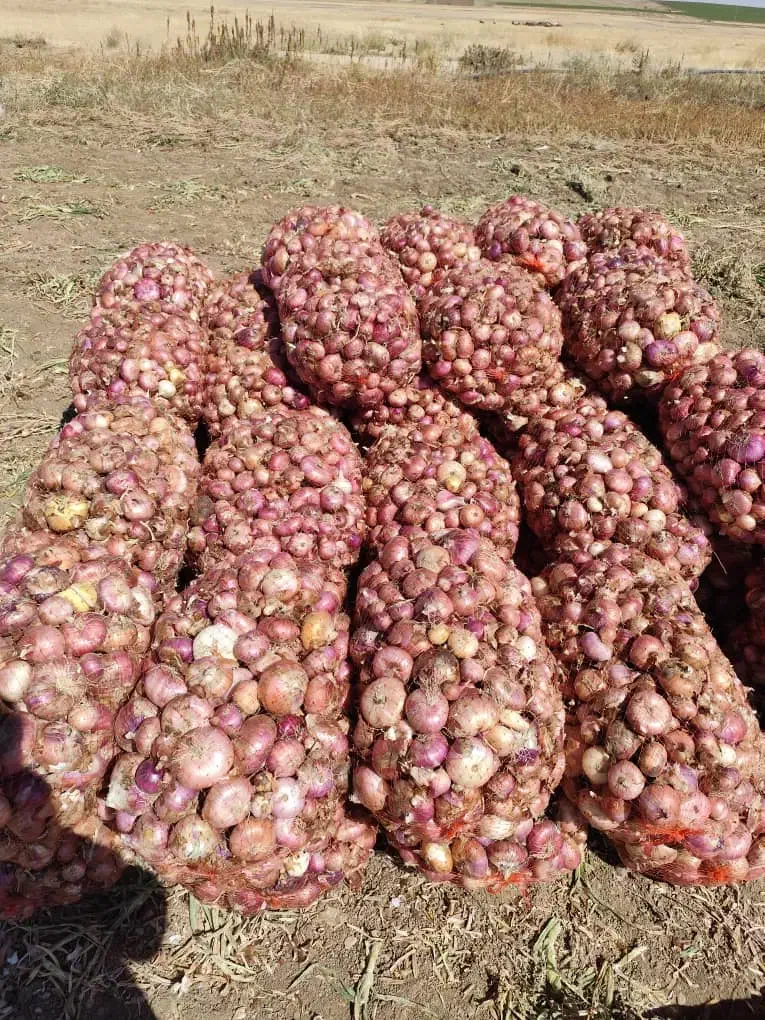 نهصدو هیجده نهصدو هشتادودوبیستوهشت بیستودو|خوردنی و آشامیدنی|دهگلان, |دیوار