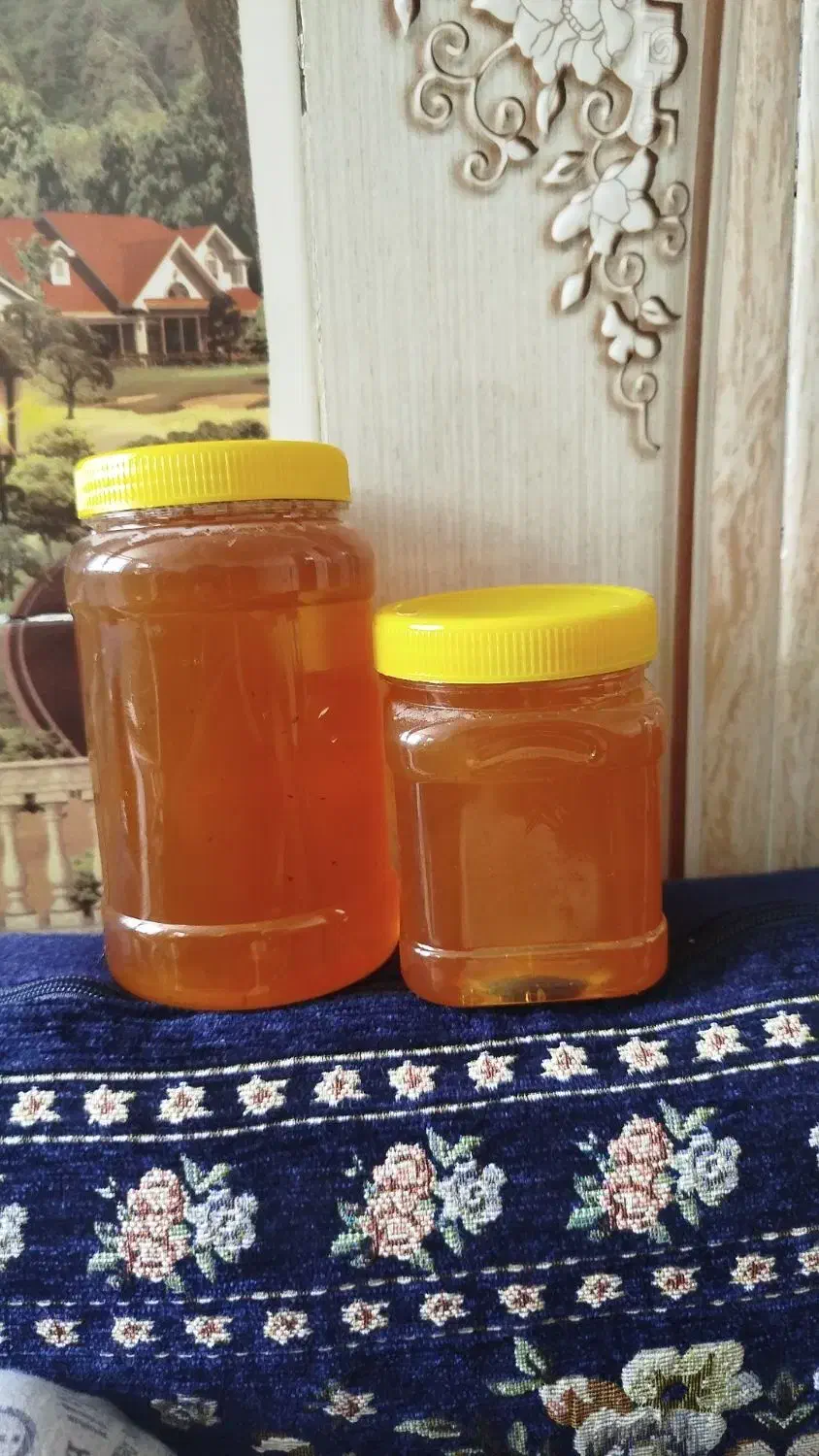 عسل کنار خالص|خوردنی و آشامیدنی|شیبکوه (فارس), |دیوار