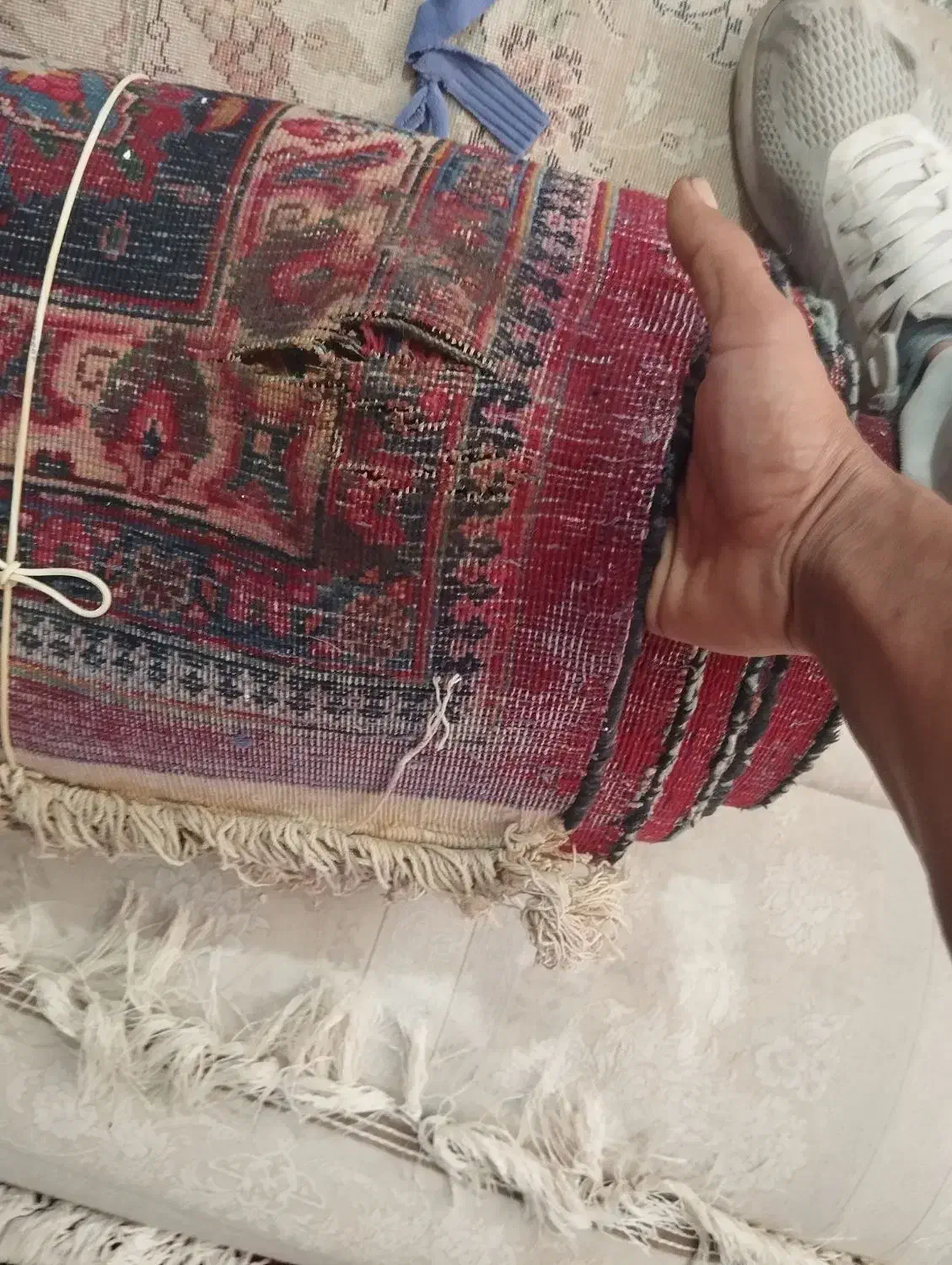 قالیشویی ومبل شویی یاس مشهد|خدمات نظافت|مشهد, ایثارگران|دیوار