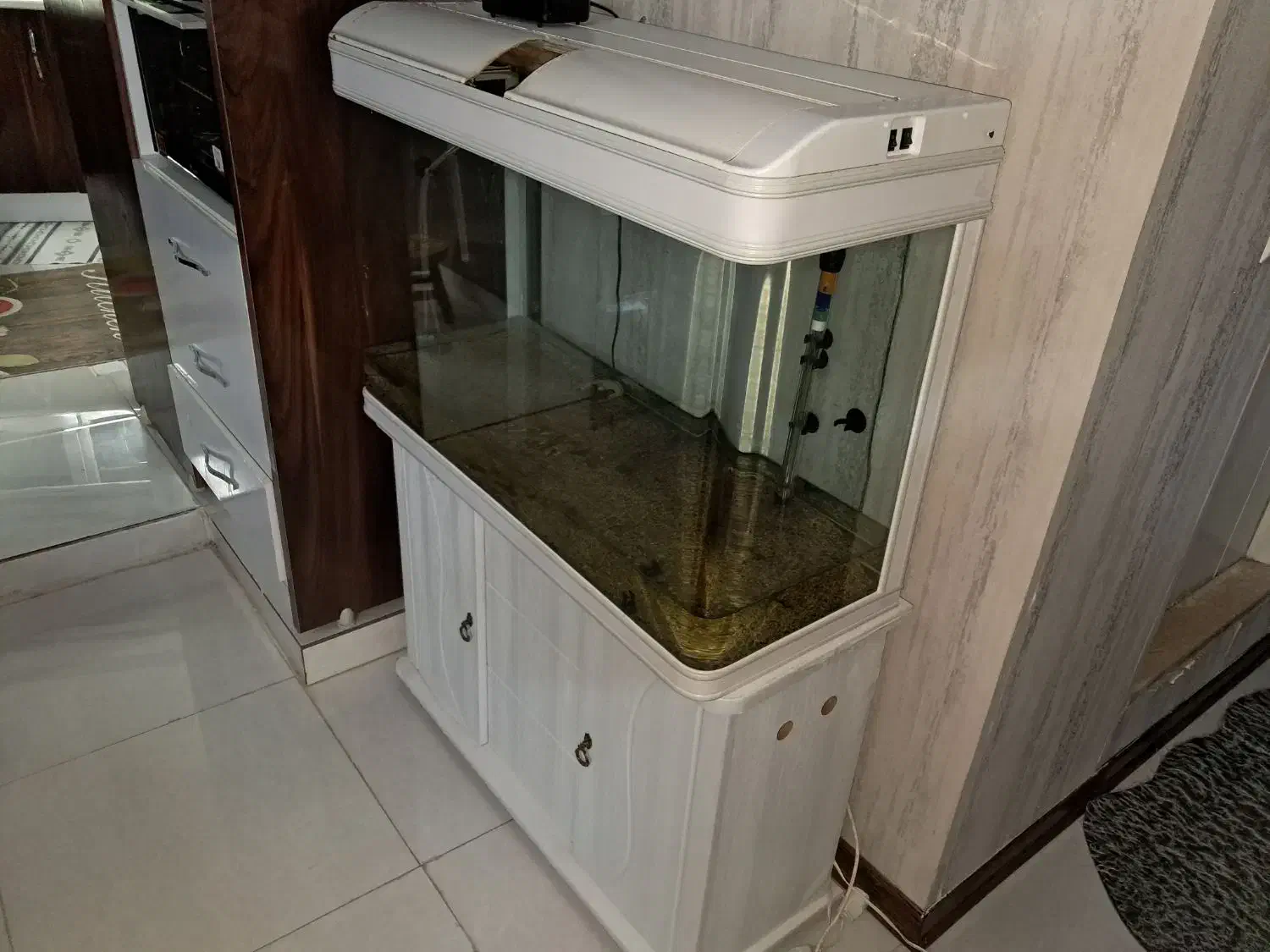 آکواریوم|ماهی|فردیس, نسترن غربی|دیوار