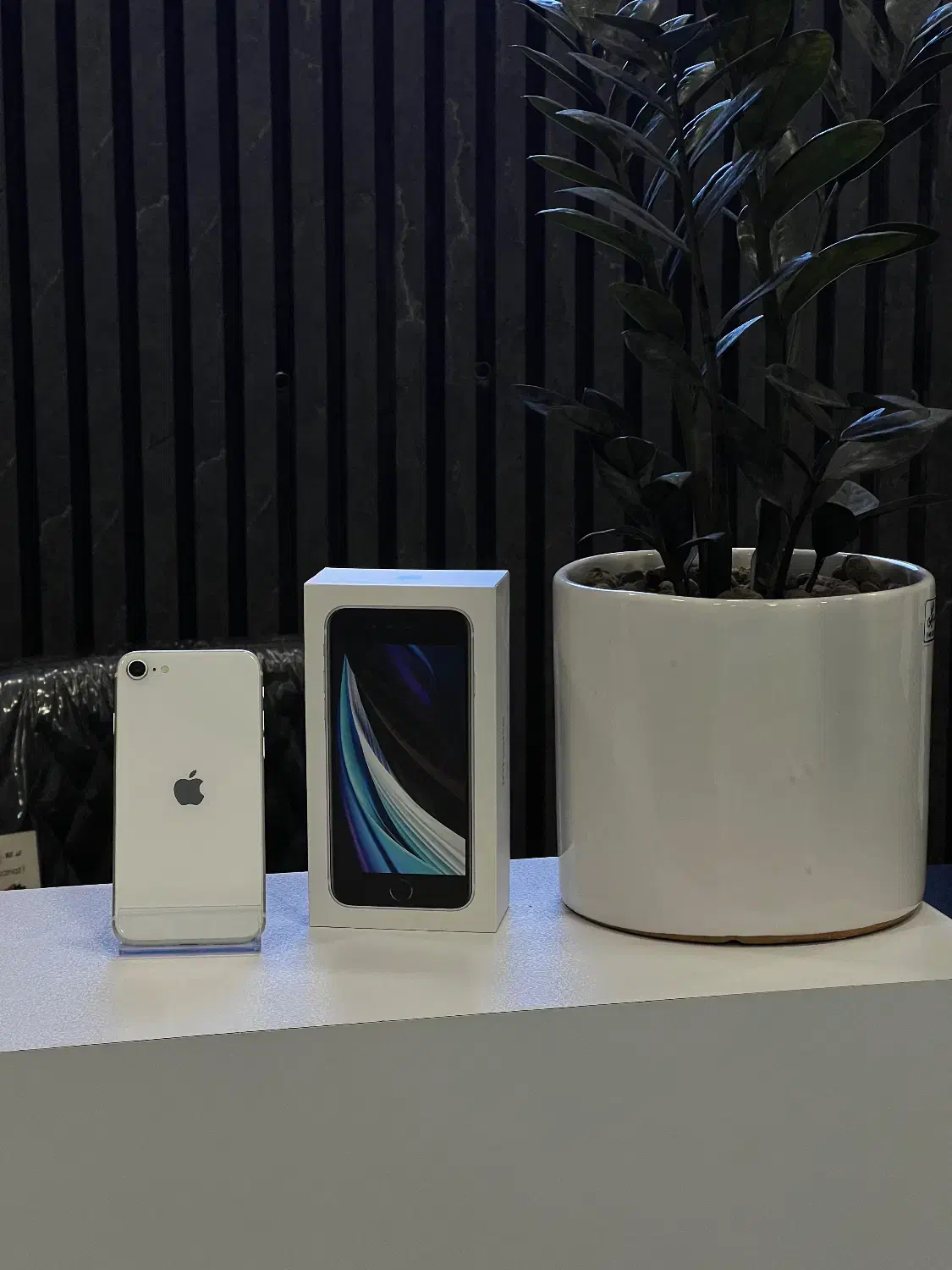 iPhone SE از دم قسط و نقدی|موبایل|کرج, مهرویلا جنوبی|دیوار