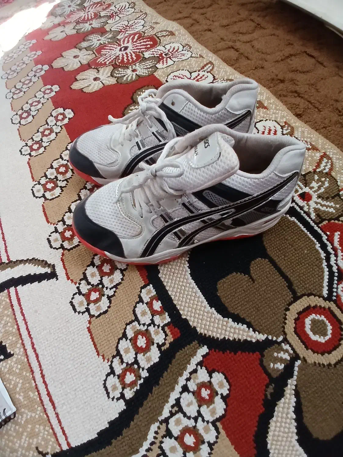 کفش|کیف، کفش، کمربند|سقز, |دیوار