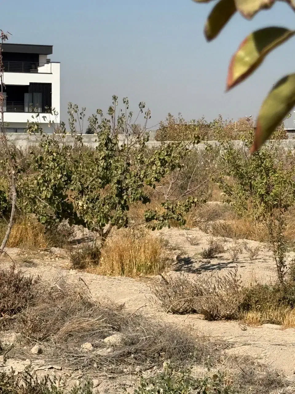 باغ،باغچه،چهاردیواری سند تک برگ|فروش زمین و ملک کلنگی|رباطکریم, انجم آباد|دیوار