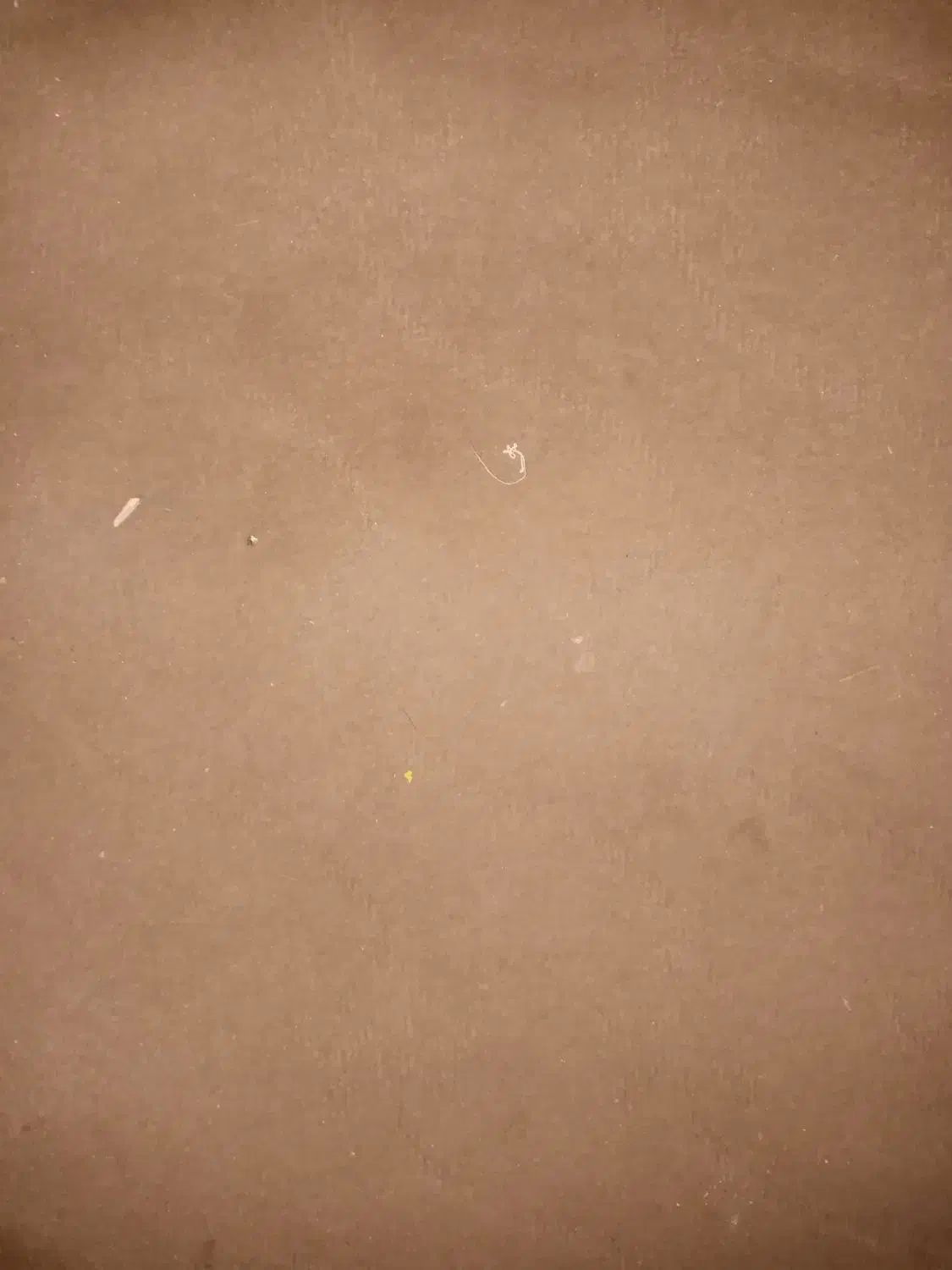 پیام پاسخگو نمیباشد تماس بگیرید|موکت|یزد, |دیوار