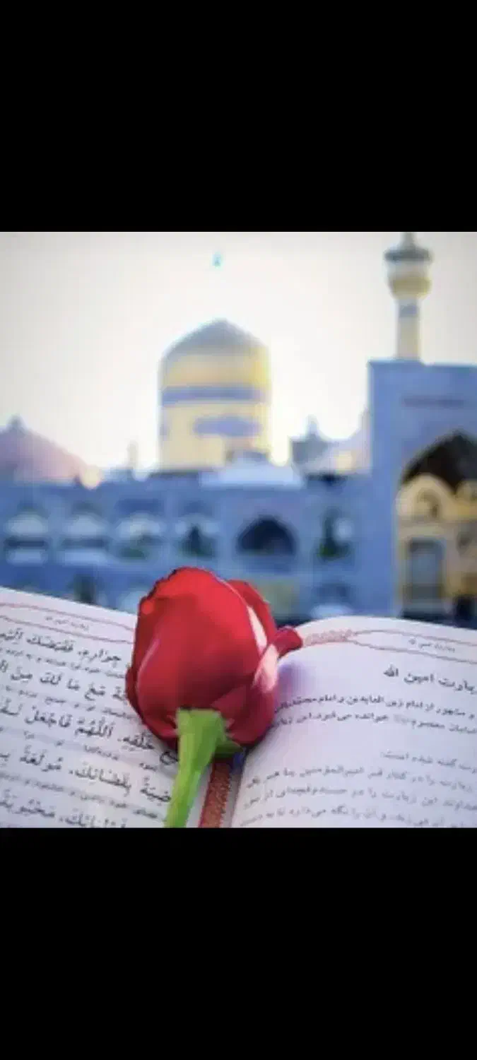 ٪ مشهدبا شرایط پرداخت فوق‌العاده/ویژه امروز هوایی|تور و چارتر|اصفهان, شیخ اشراق|دیوار