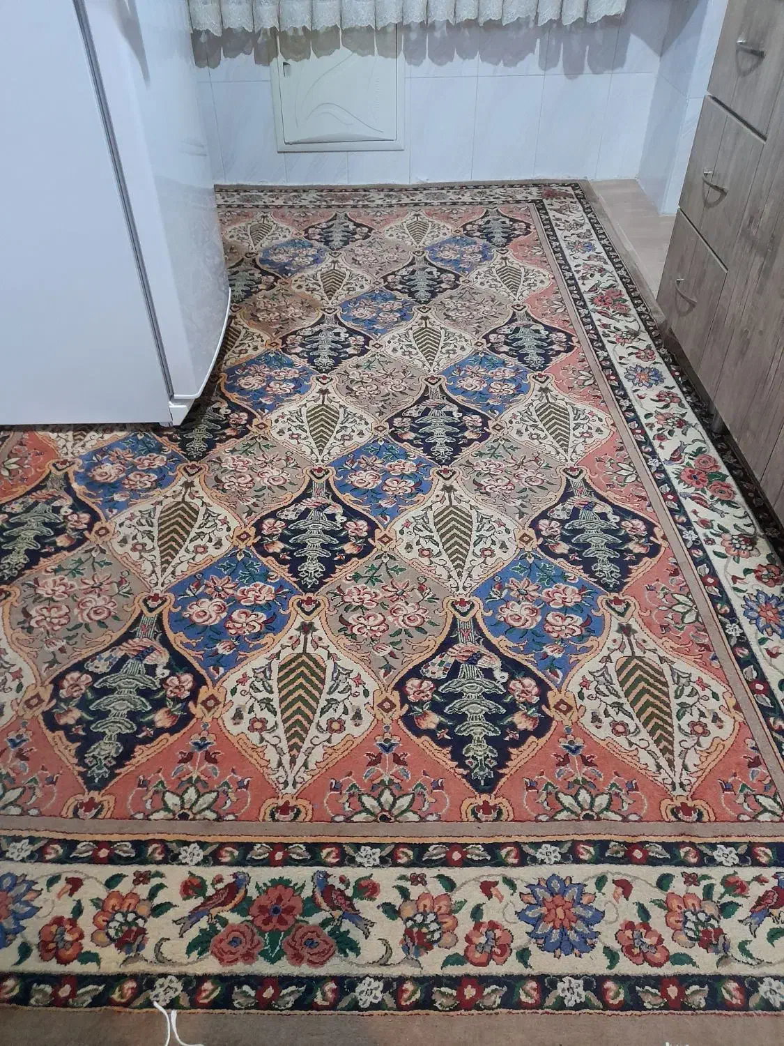 گلیم فرش ۶ متری در حد نو ،گلیم فرش کناره|گلیم، جاجیم، گبه|قزوین, |دیوار