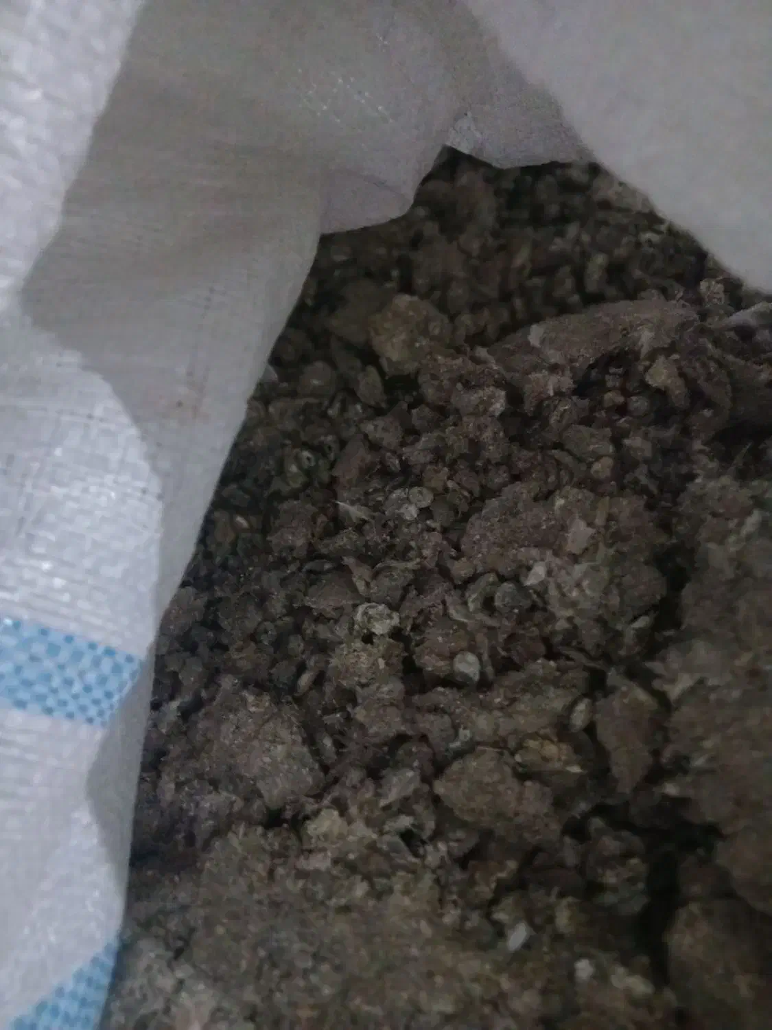 زیل کبوتر|خدمات باغبانی و درختکاری|تبریز, |دیوار