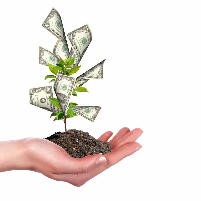 راهنمایی و سرمایه گذاری|فعالیت داوطلبانه تحقیقاتی|تهران, دانشگاه شریف|دیوار