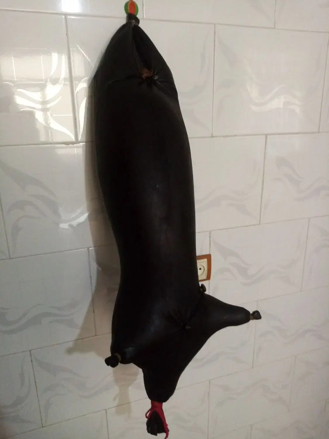 هیزه|ظروف نگهدارنده، پلاستیکی، یکبارمصرف|کرمانشاه, |دیوار