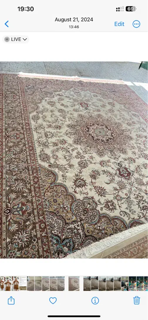 دوعدد قالی ۱۲ متری|فرش|گنبد کاووس, |دیوار