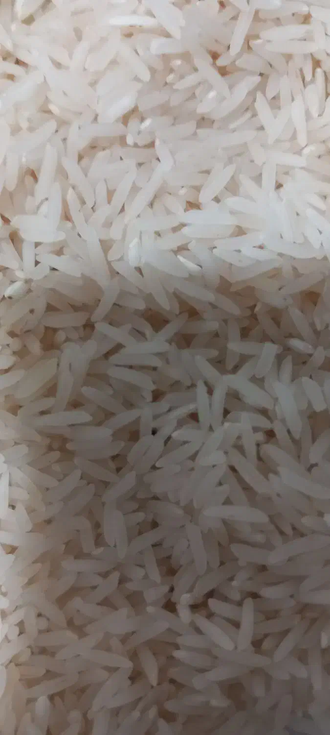 برنج فجر|خوردنی و آشامیدنی|سنگدوین, |دیوار