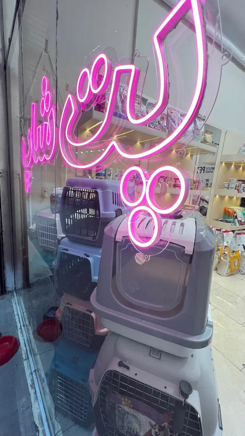 غذا خشک باکس خاک  پت شاپ کوله|لوازم جانبی حیوانات|مشهد, گلبرگ|دیوار