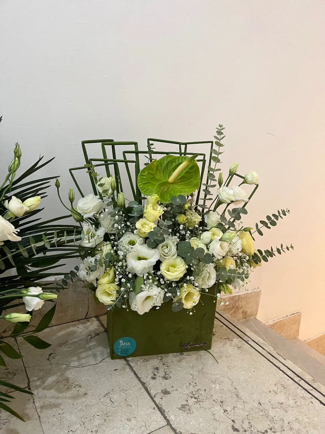 سبد گل|گل و گیاه طبیعی|مشهد, سناباد|دیوار
