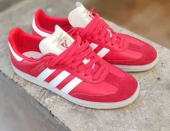 adidas samba 41 سفارش باشگاه بنفیکا|کیف، کفش، کمربند|تهران, شهرک غرب|دیوار