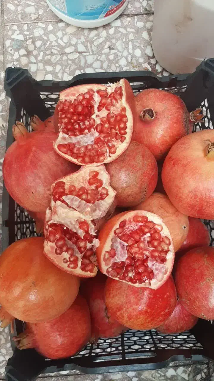 انار آب دار|خوردنی و آشامیدنی|قم, دورشهر|دیوار