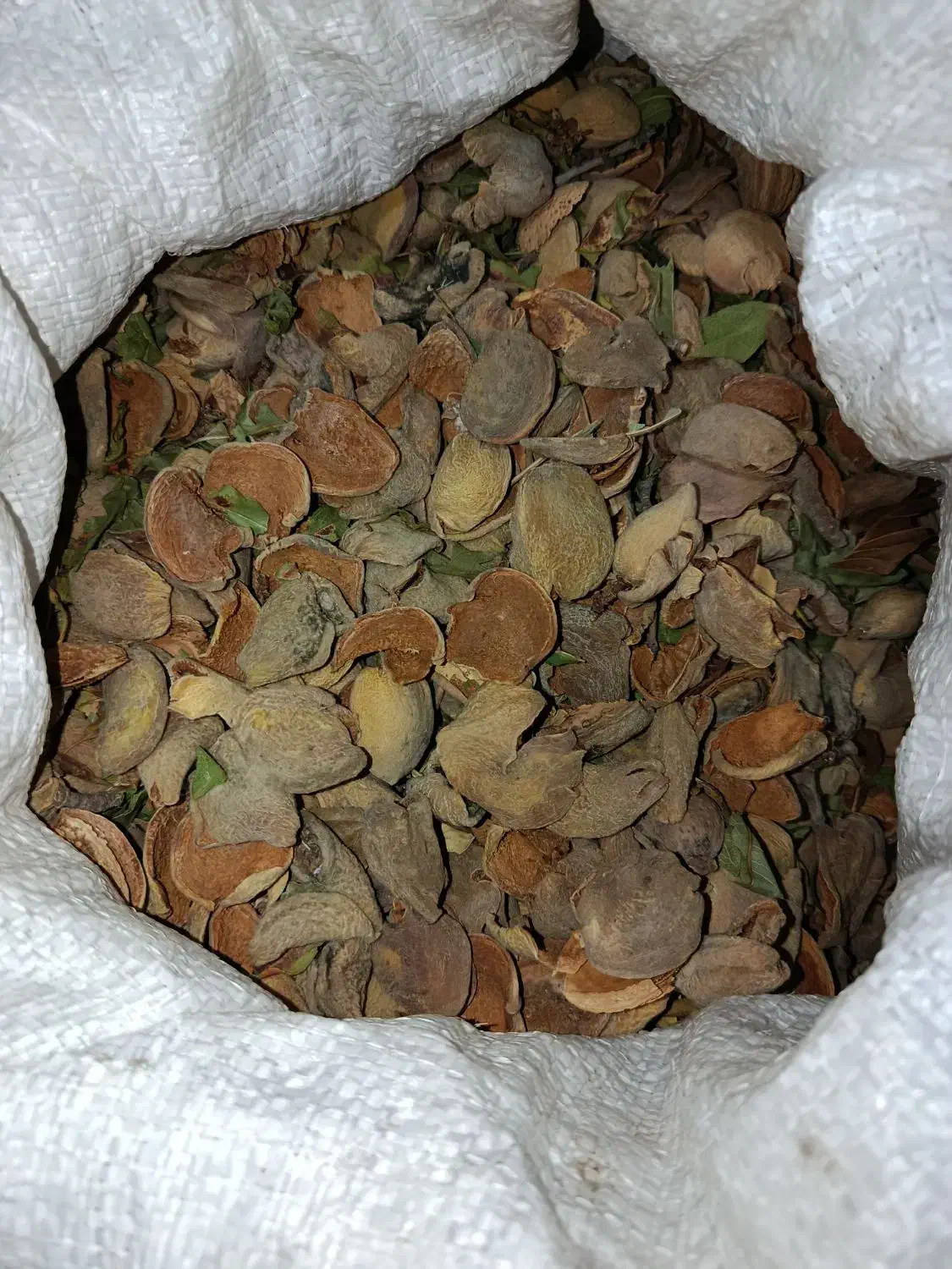 پوست بادام|عمدهفروشی|اسکو, |دیوار