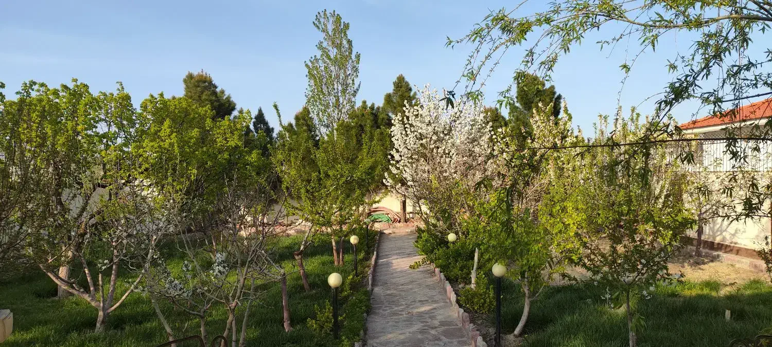 تصویر 7