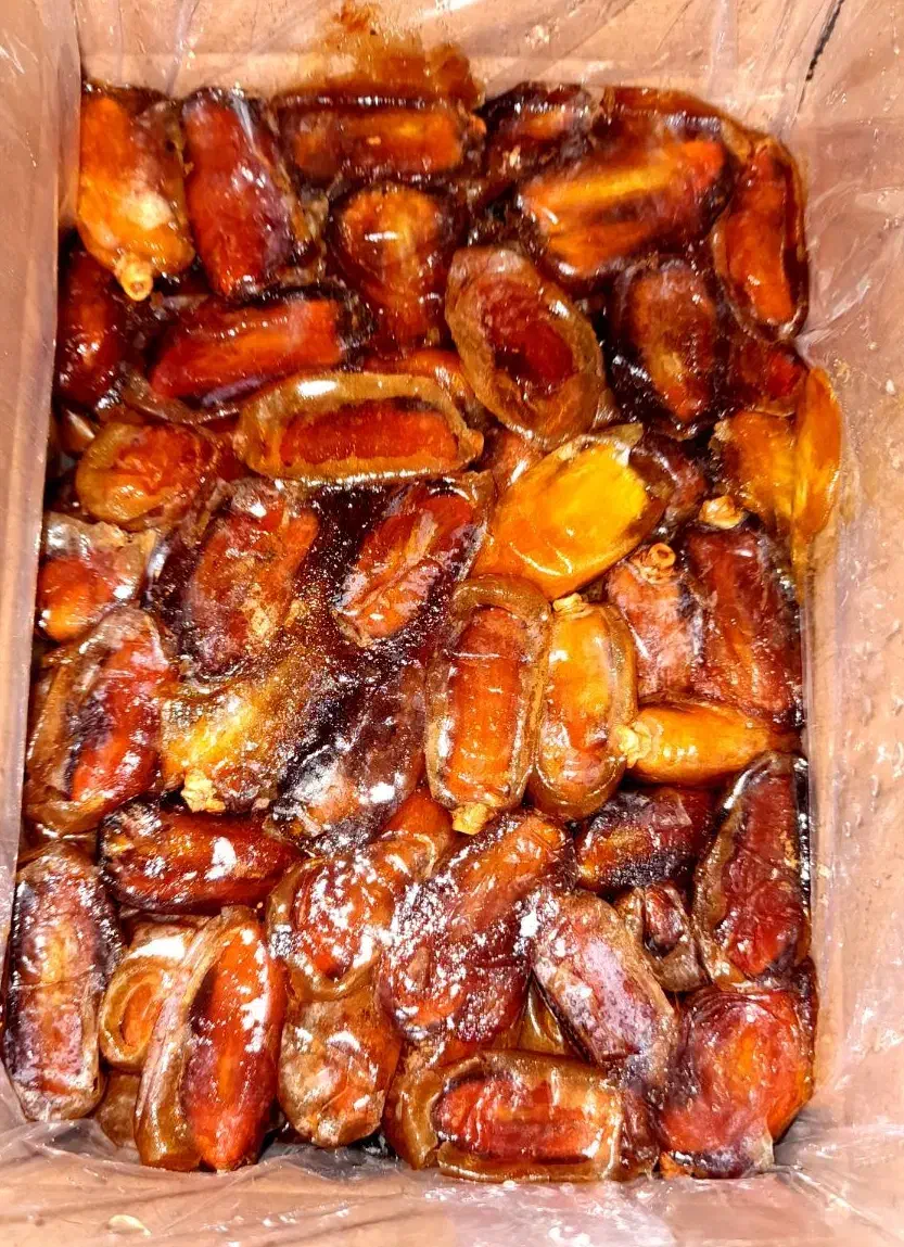 خرما|خوردنی و آشامیدنی|شیراز, شهرک مدرس|دیوار