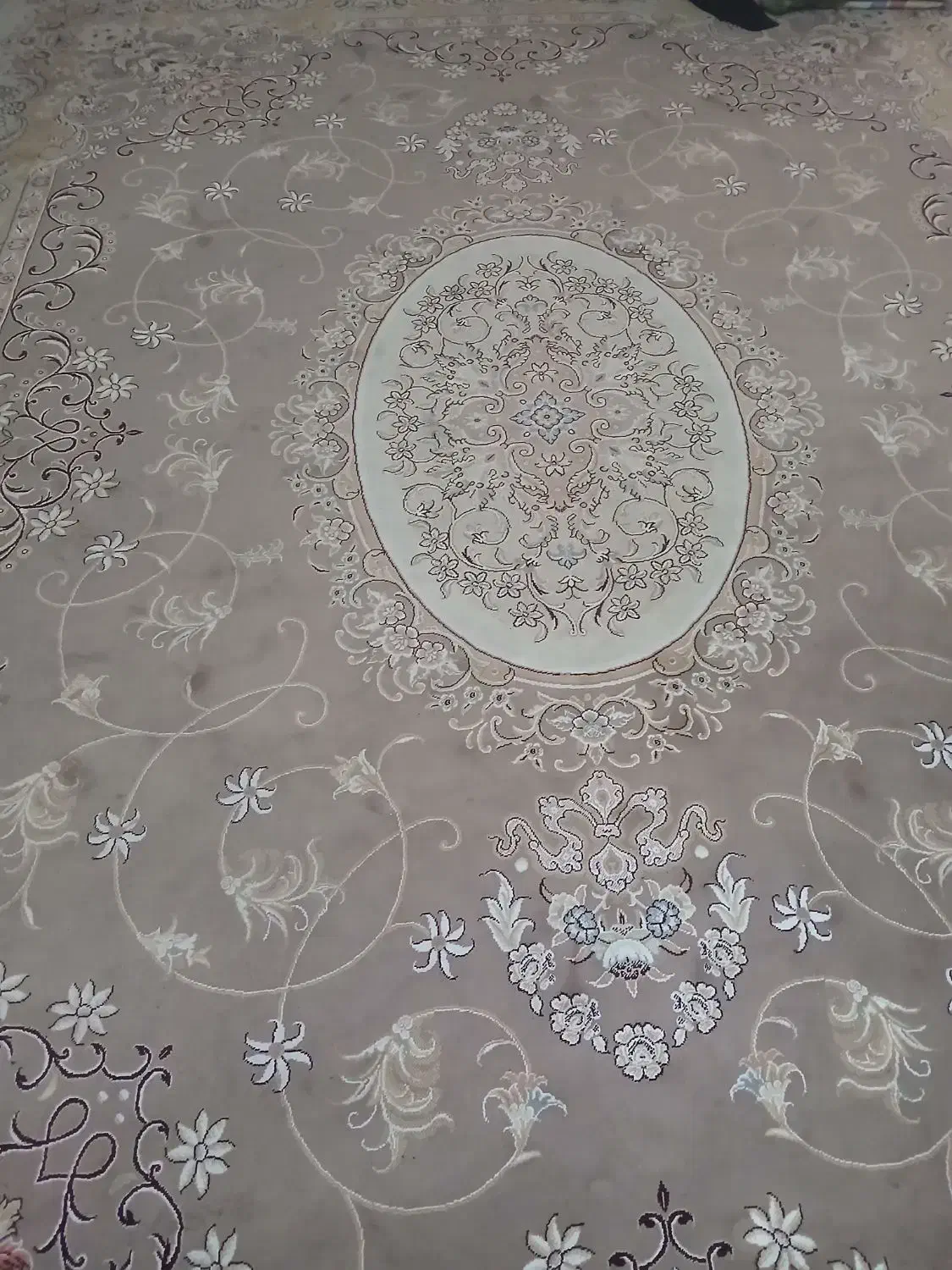 ۴ عدد ۱۲ متری گردویی|فرش|قم, باجک سه|دیوار