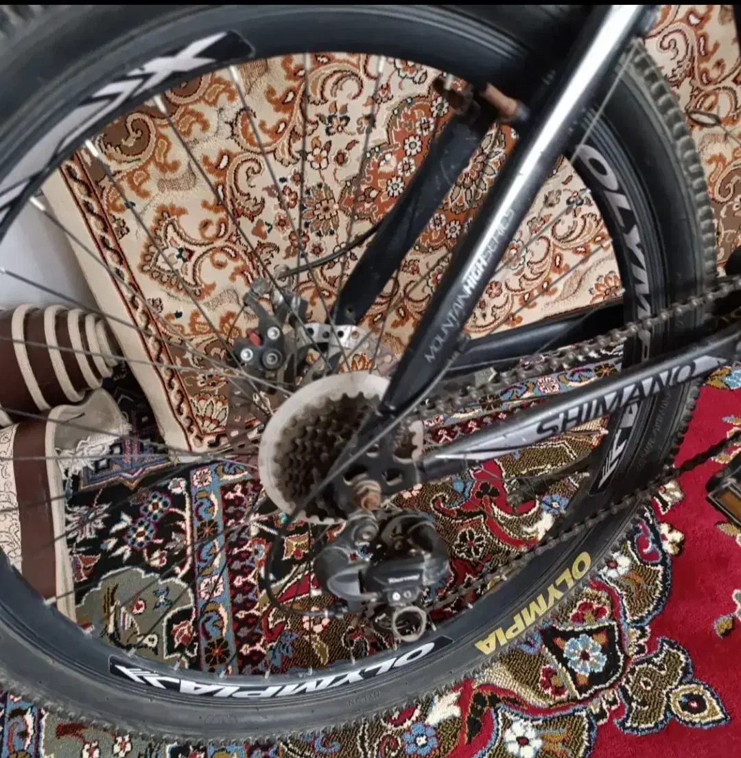 دوچرخه المپیا 26|دوچرخه، اسکیت، اسکوتر|تاکستان, |دیوار