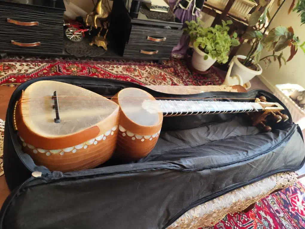 تار صدف آذربایجانی|سازهای سنتی|تبریز, |دیوار