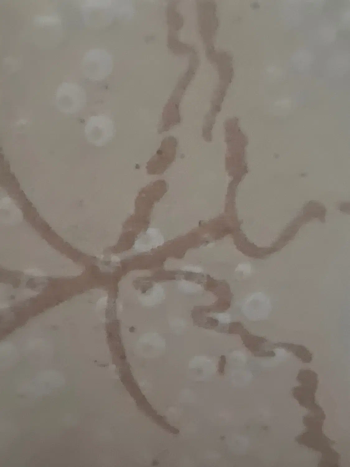 شیر روشویی اهرمی|لوازم سرویس بهداشتی|کرمانشاه, |دیوار