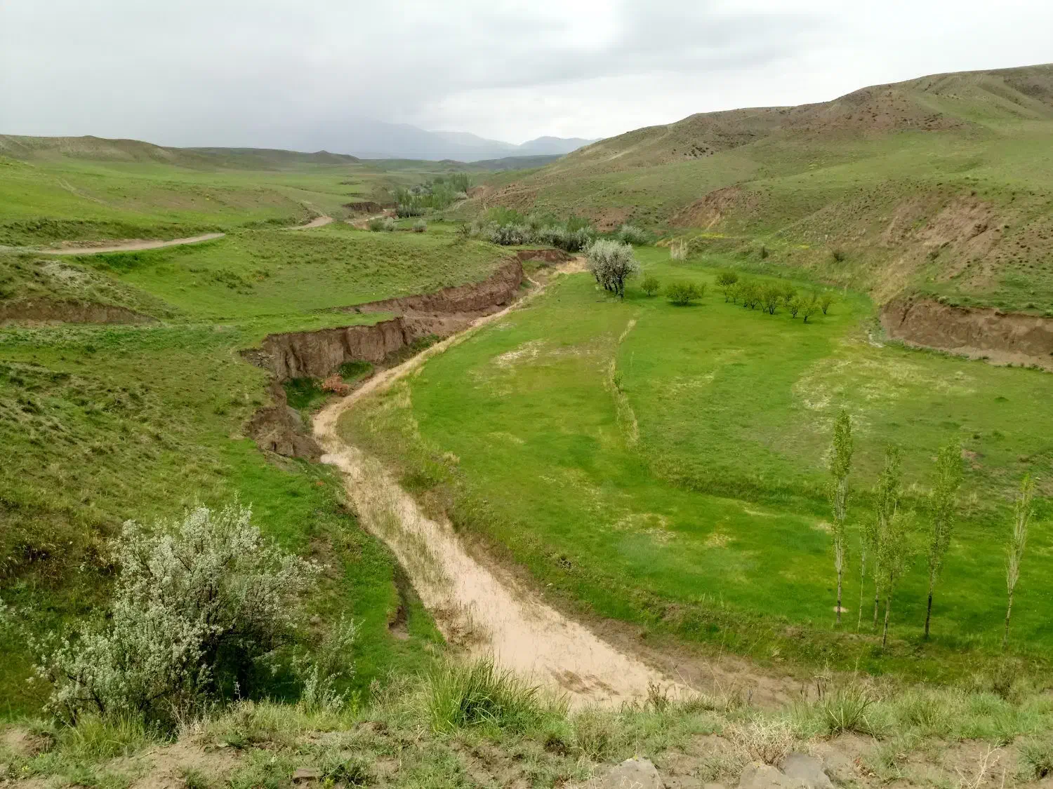 فروش زمین کشاورزی 50000 متر|فروش دفتر صنعتی، کشاورزی، تجاری|خواجه, |دیوار