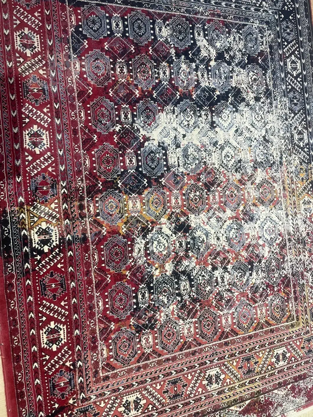 فرش ۴ متری|فرش|رشت, کاکتوس|دیوار