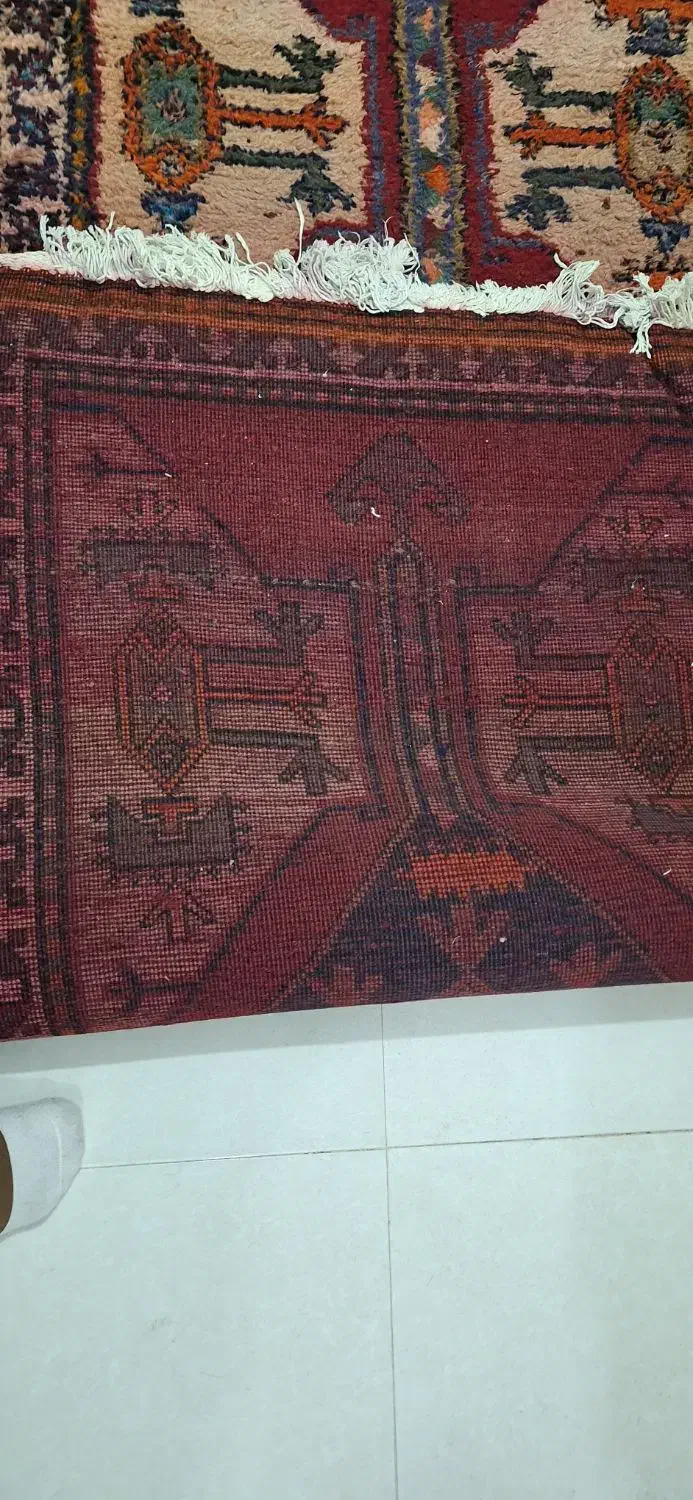 فرش دست باف  قدیمی|فرش|باقرشهر, |دیوار