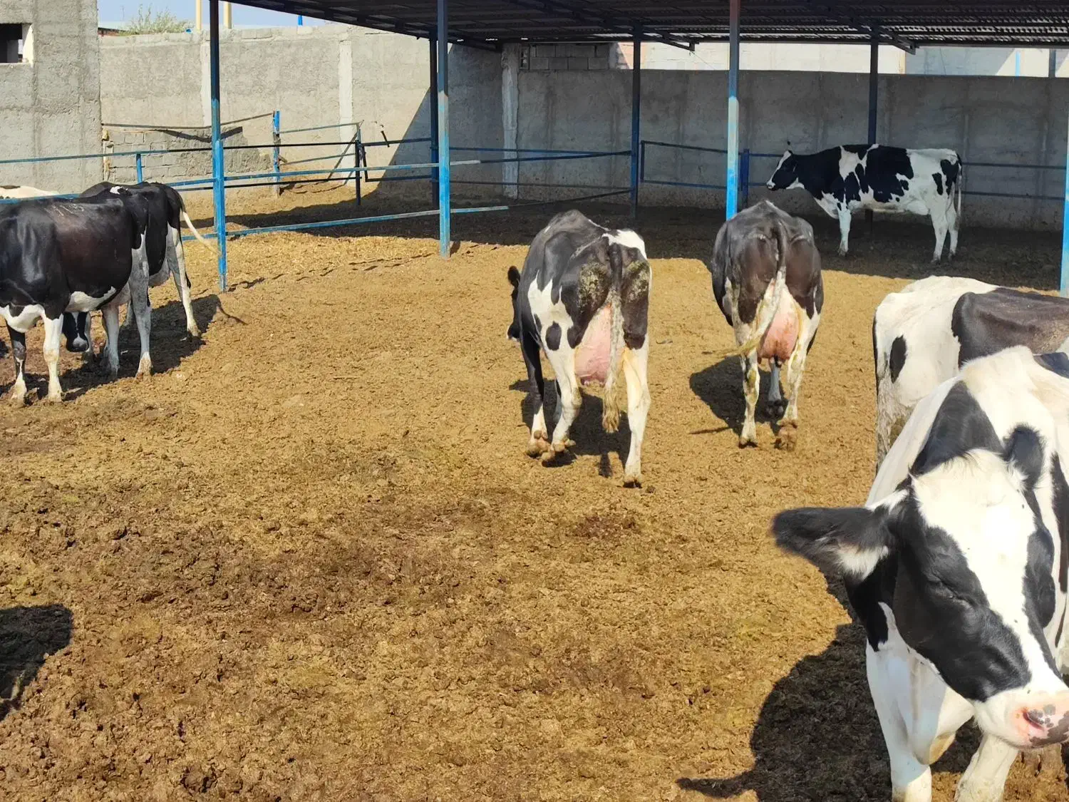 استخدام نیروی فنی|استخدام صنعتی، فنی، مهندسی|کرمان, |دیوار