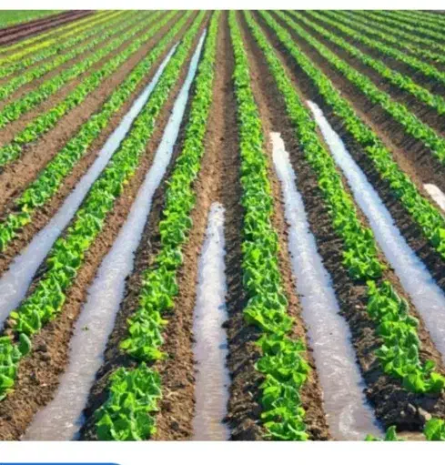 آب با زمین|خدمات باغبانی و درختکاری|گناباد, |دیوار