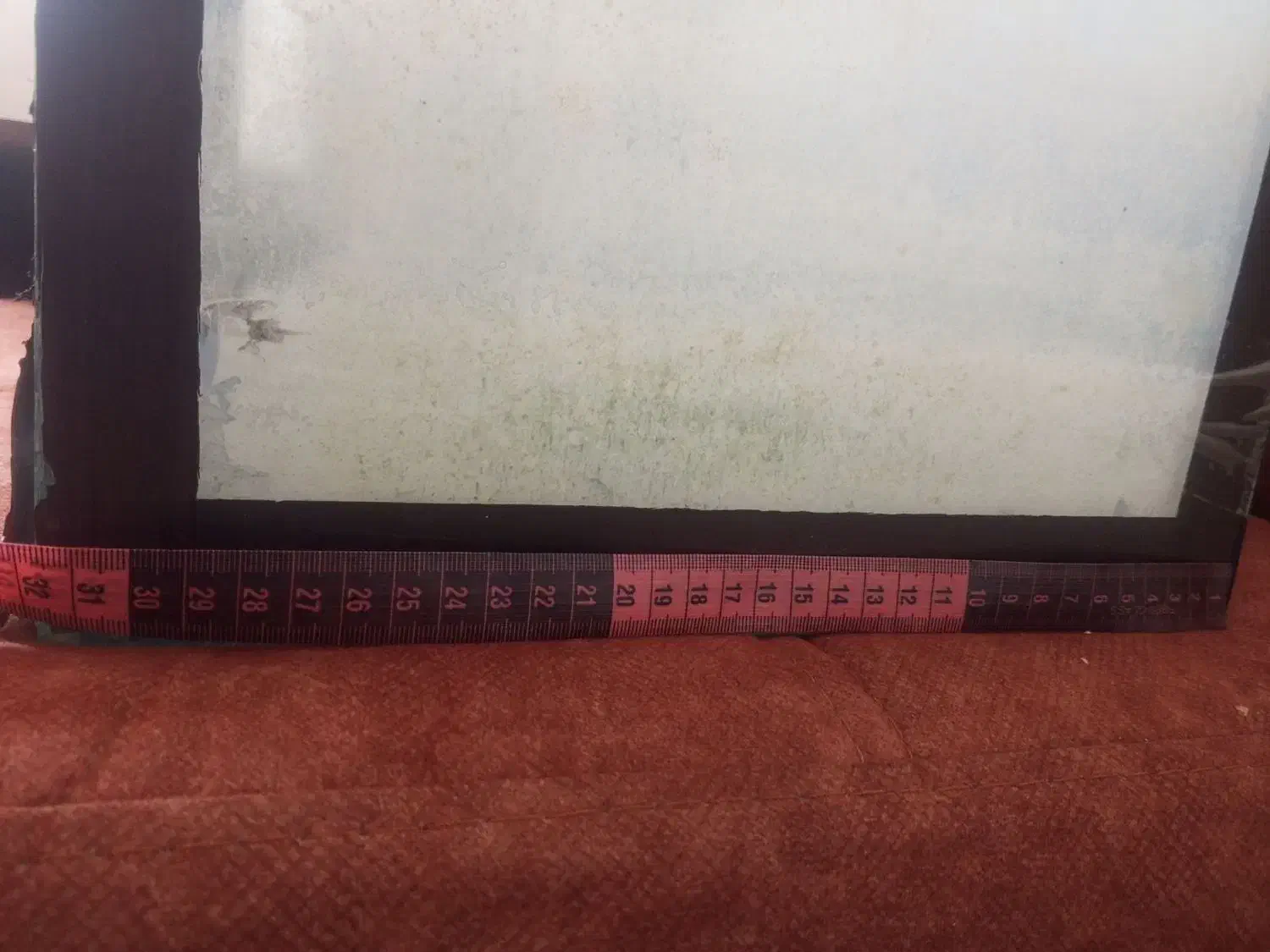 آکواریوم ماهی|ماهی|زاهدان, |دیوار