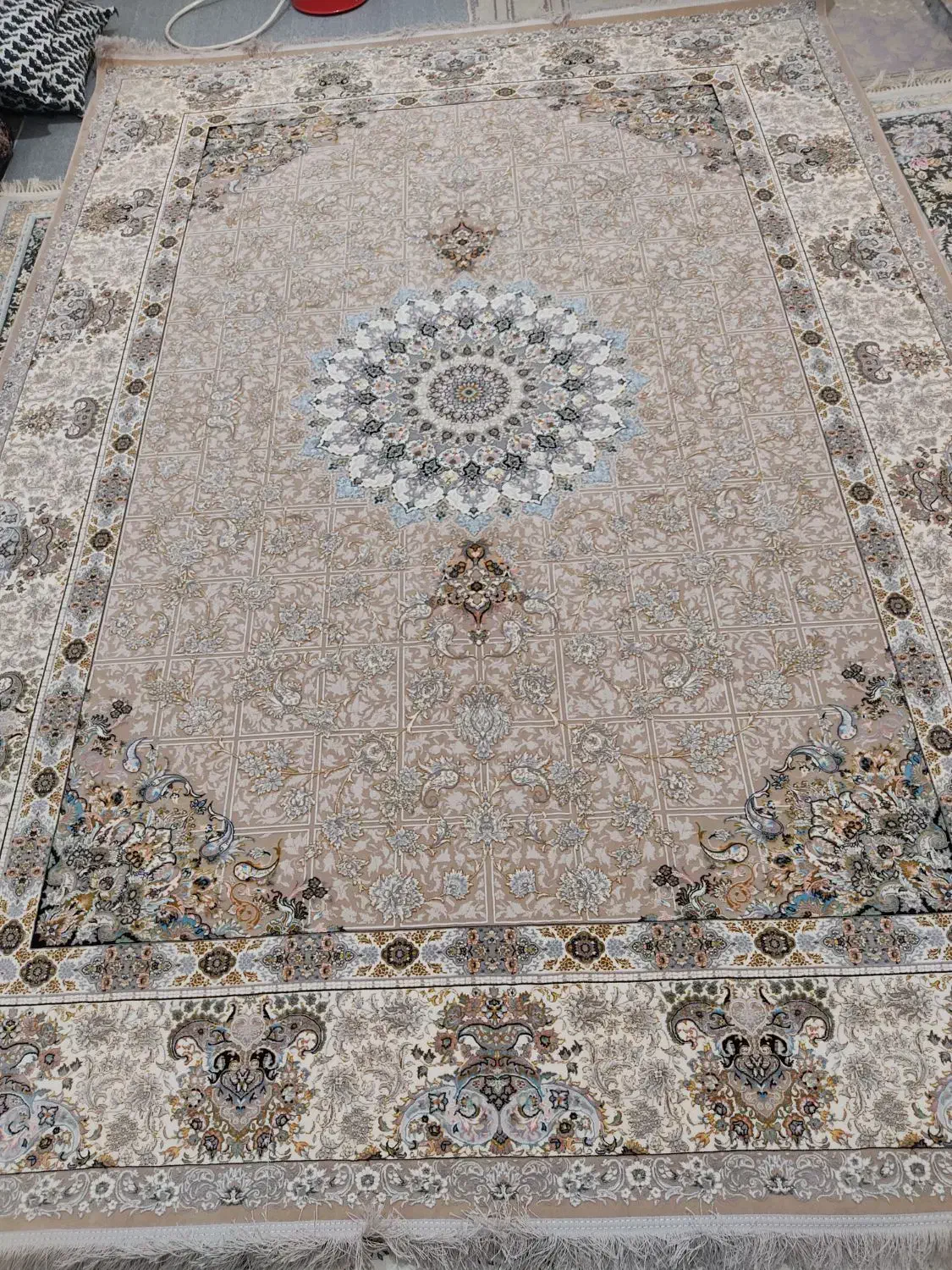 فرش نو نو فوری|فرش|ایلام, |دیوار