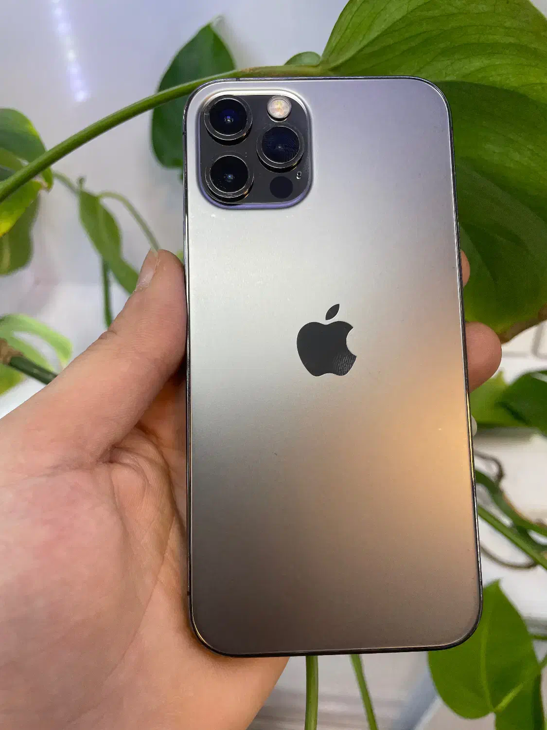 آیفون ۱۲ پرو 256گیگ سالم|موبایل|رشت, امین الضرب|دیوار