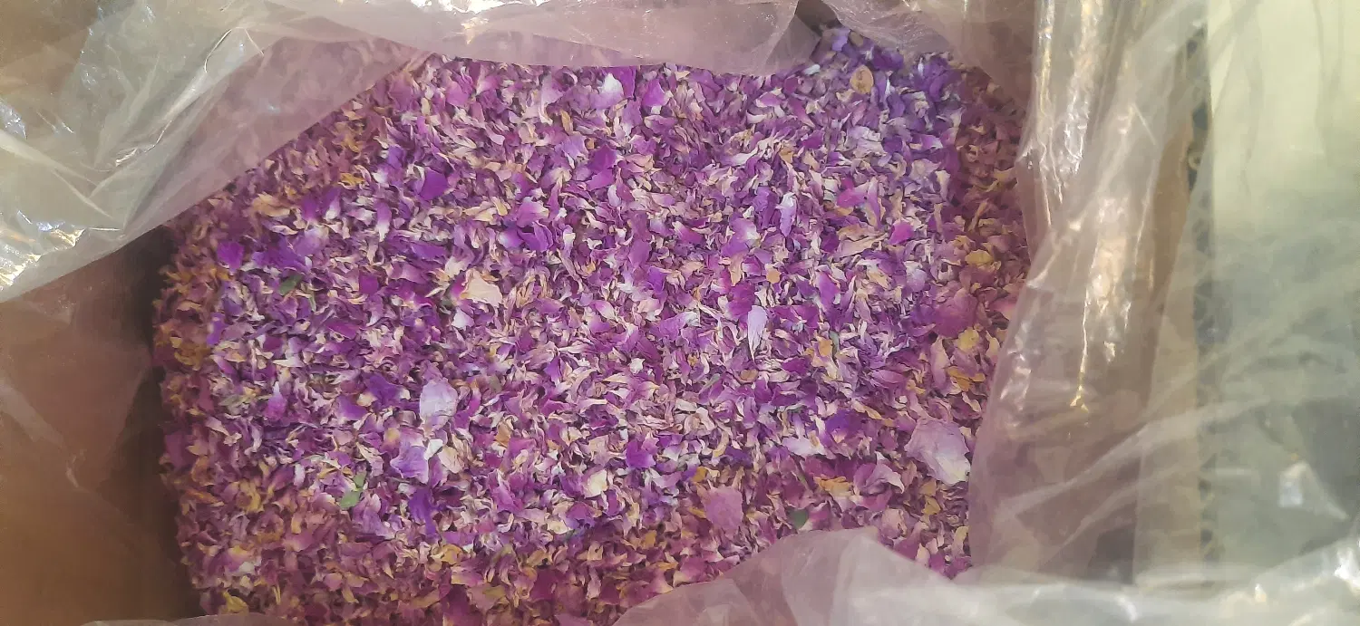 گلبرگ محمدی|خوردنی و آشامیدنی|اهواز, ۳۰ متری|دیوار