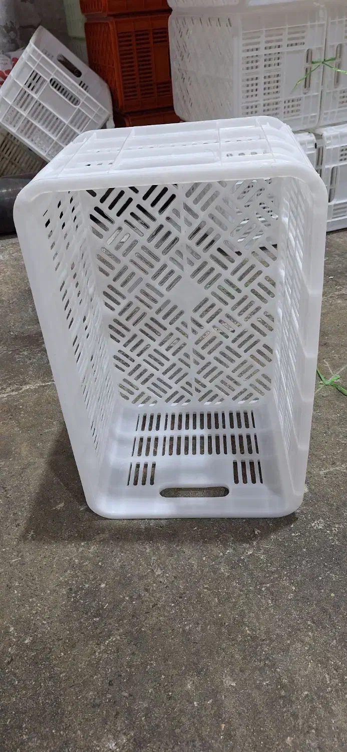 فروش سبد ۲۰ کیلویی|ظروف نگهدارنده، پلاستیکی، یکبارمصرف|بابل, |دیوار