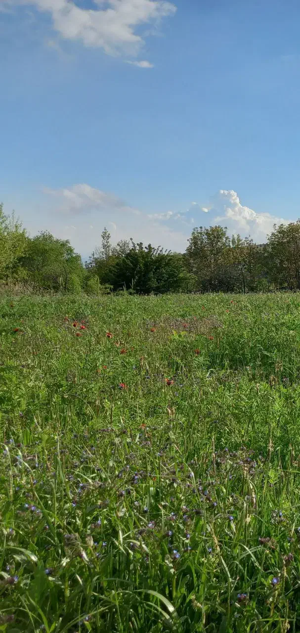 جای دوست داشتنی برای زندگی|حراج|نمین, |دیوار