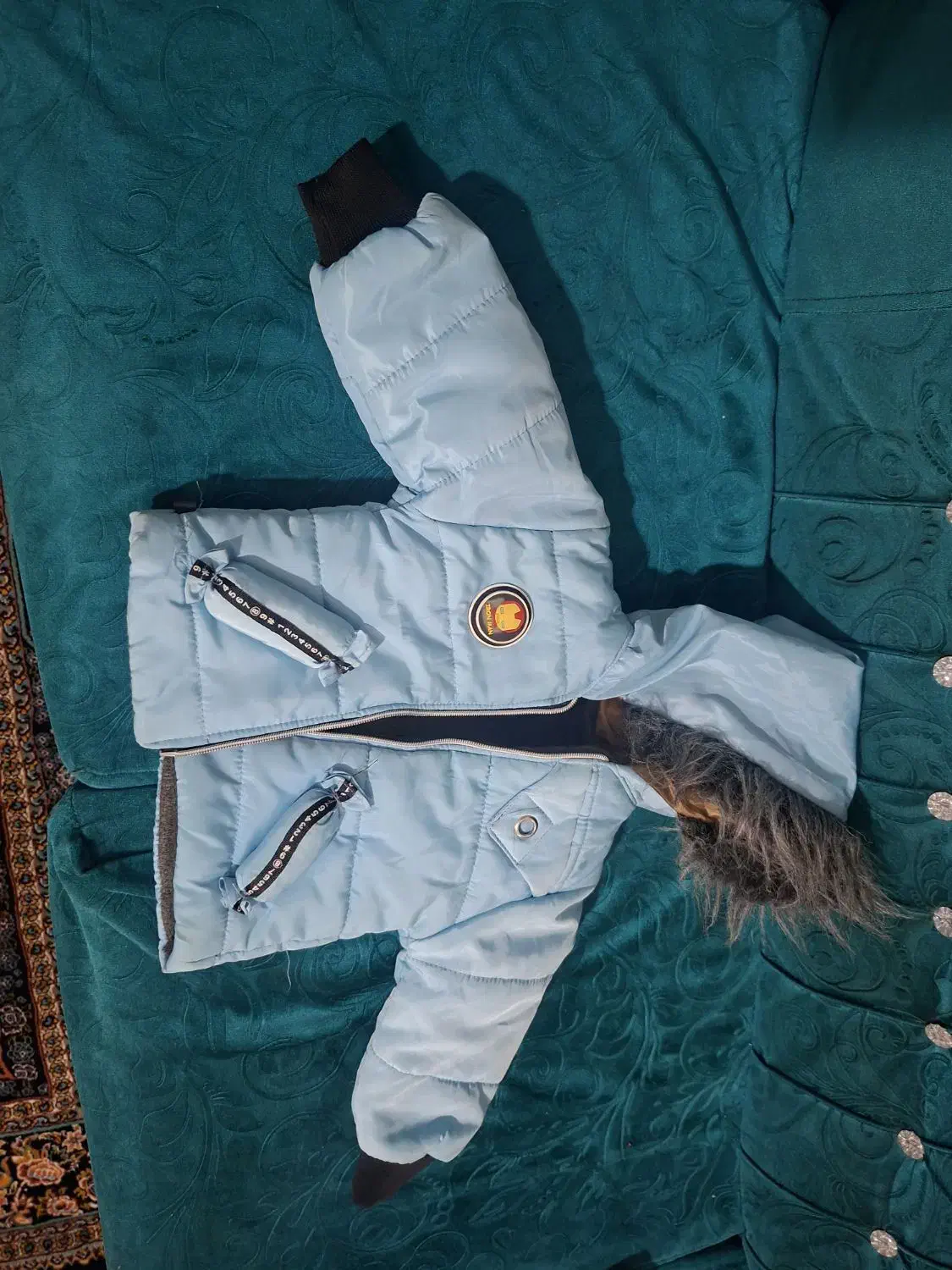 حراج بچگانه|حراج|قم, ولیعصر|دیوار