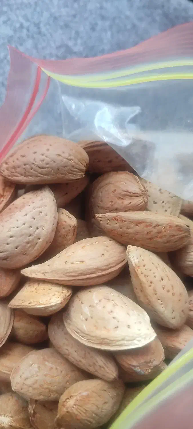 بادام مرغوب با کیفیت|خوردنی و آشامیدنی|کرج, عظیمیه|دیوار