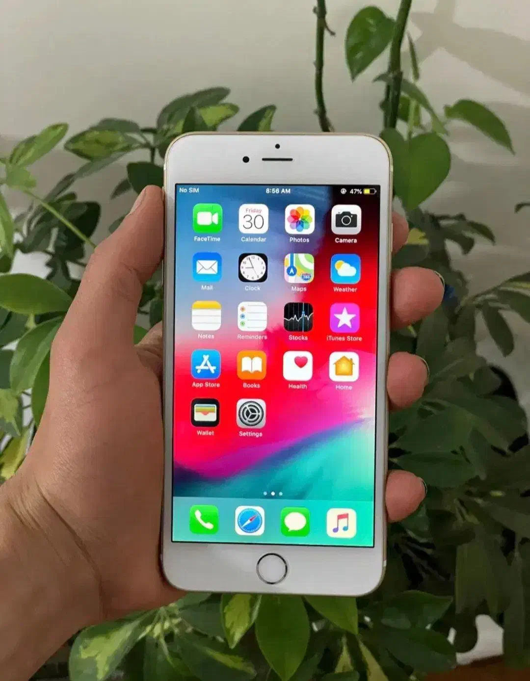 آیفون 6pluse|موبایل|پرند, فاز ۶|دیوار