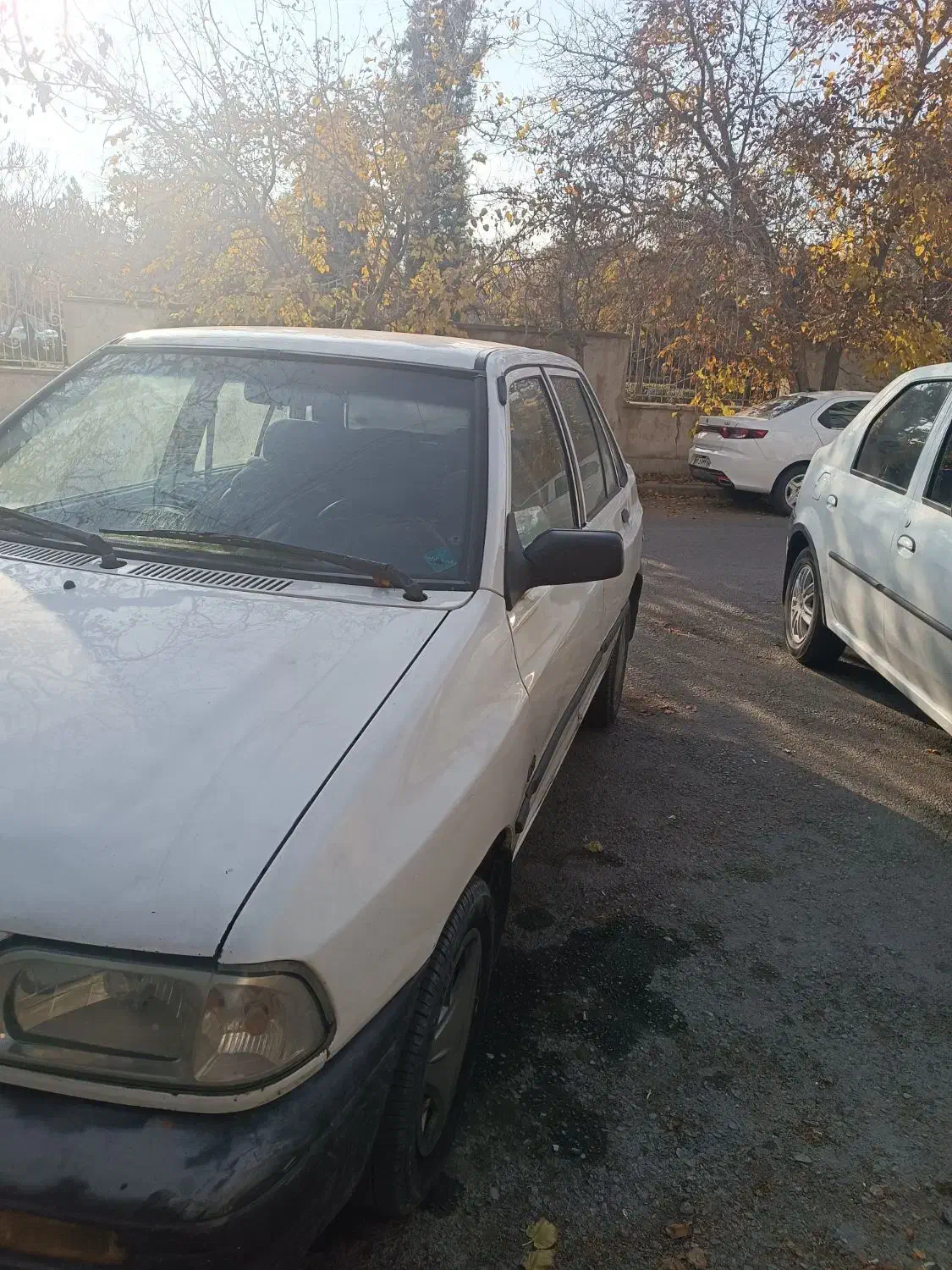 پرایدصبا مدل84 بنزینی تمیز روپا|خودرو سواری و وانت|مشهد, ادیب نیشابوری (شهرک غرب)|دیوار