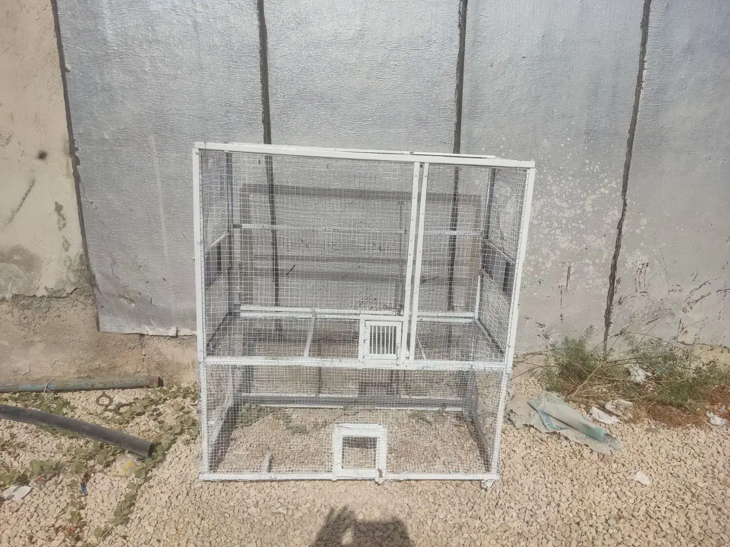 قفس پرنده|لوازم جانبی حیوانات|بوشهر, |دیوار