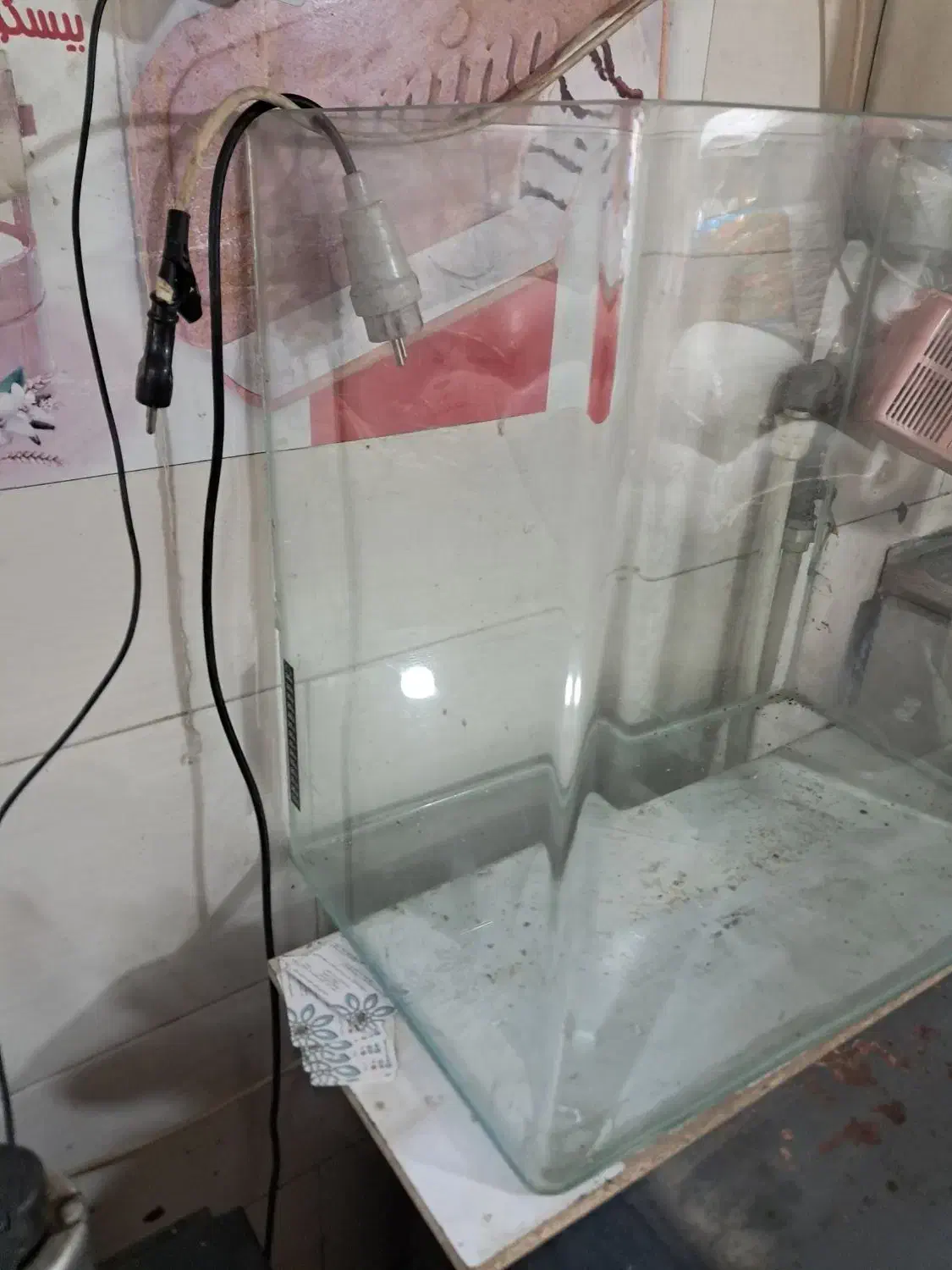 آکواریوم شیشه خم|ماهی|فردیس, سرحدی|دیوار