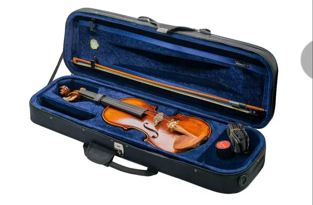 ویولن فندر رزوود سایز ۴/۴ جعبه مستطیل|ویولن|تهران, پونک|دیوار