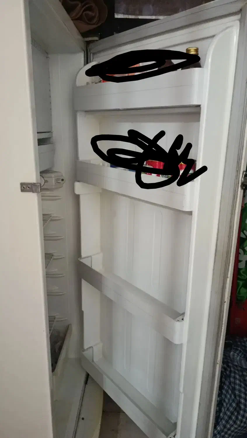 یخچال|یخچال و فریزر|بیرجند, |دیوار