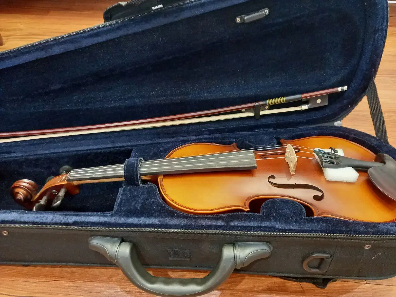 ویالون سندنر|ویولن|نیشابور, امین اسلامی|دیوار