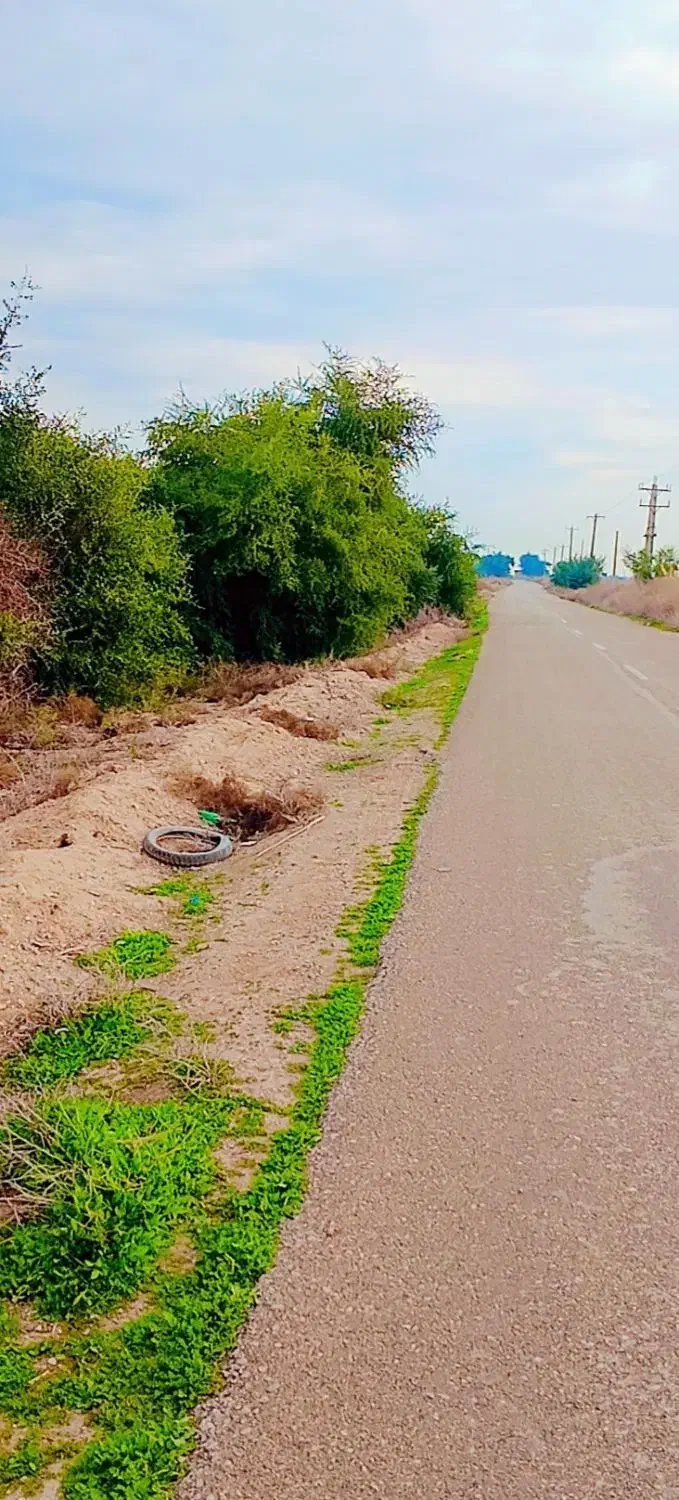 سرگرمی و فراغت|فعالیت داوطلبانه|اهواز, اهواز|دیوار