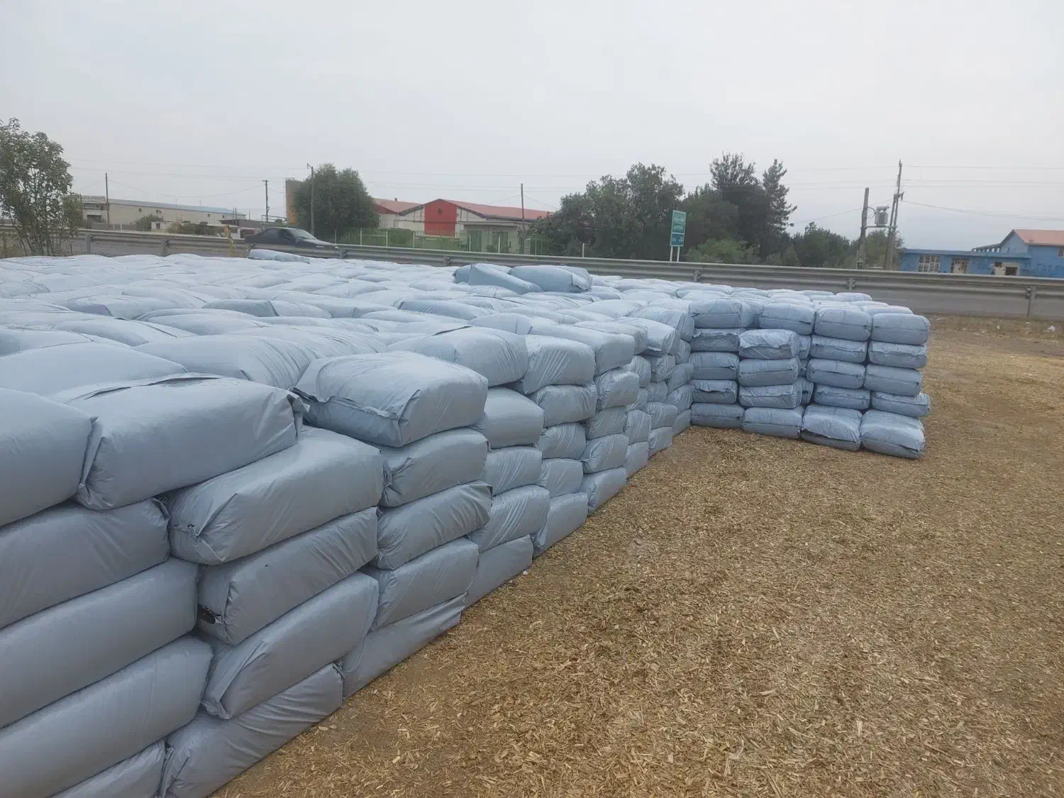 علوفه ذرت بسته بندی|عمده‌فروشی|اسلام آباد, |دیوار