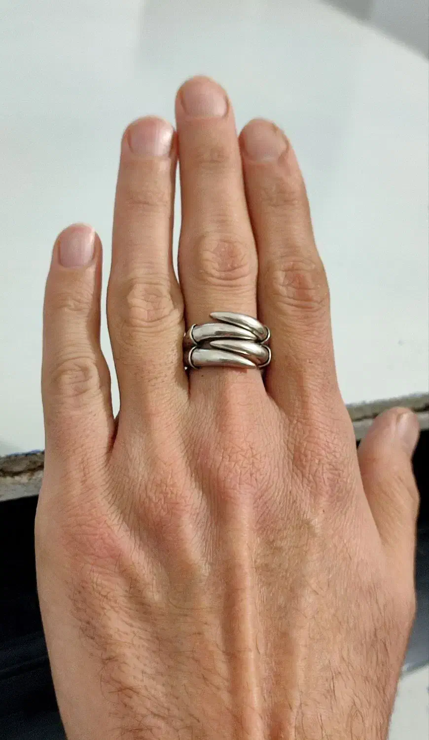 انگشتر نقره مردانه طرح پنجه عقاب|جواهرات|نظرآباد, نظرآباد|دیوار